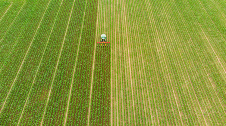 Puxado pelo crescimento do agro, PIB avança 1,9% no 1º trimestre de 2023