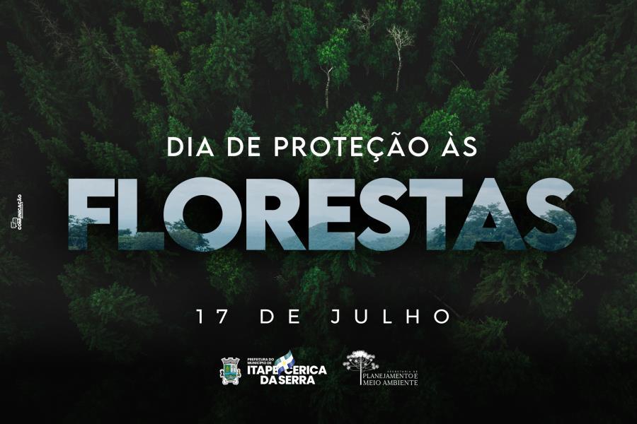 17 de julho - Dia da Proteção às Florestas