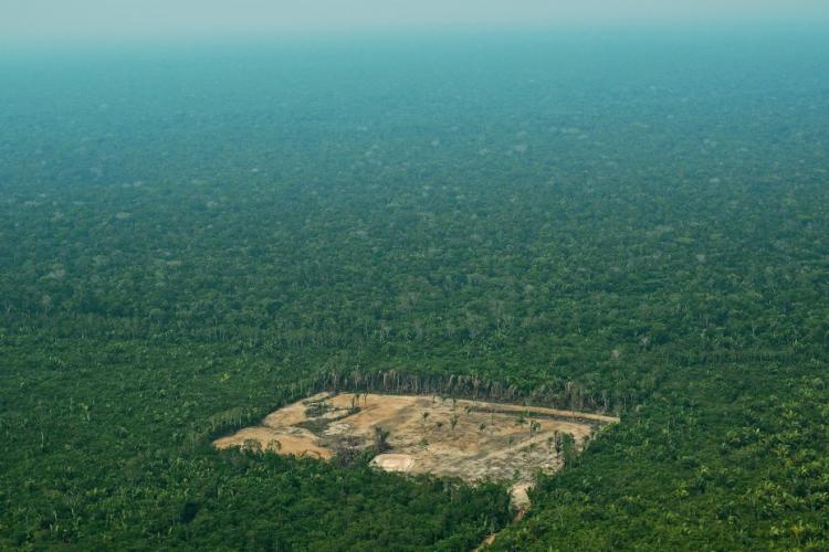 PF prende homem suspeito de ser o ‘maior devastador’ da Floresta Amazônica