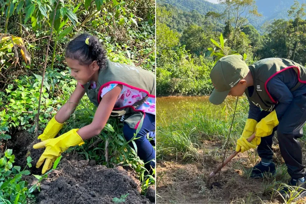 Parques de SP recebem plantio de 100 mudas de árvores