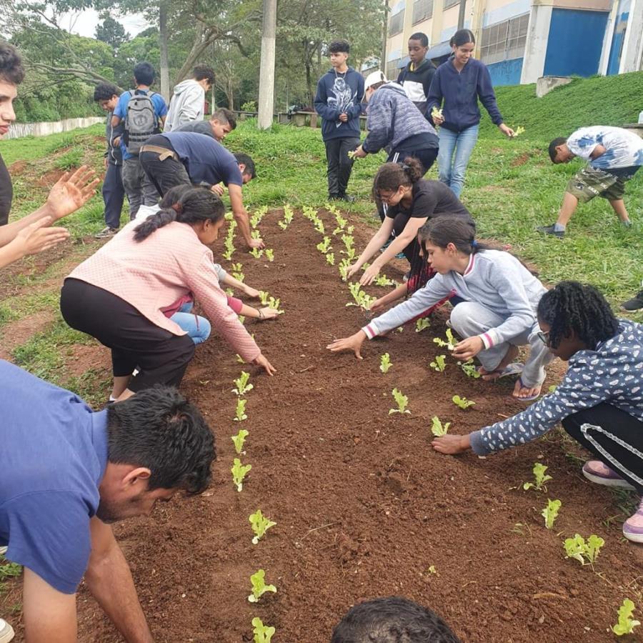 Escola Estadual Natércia Cremm recebe Projeto Horta nas Escolas