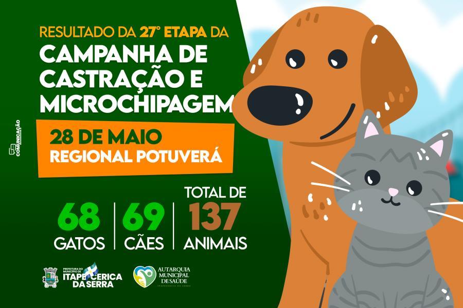 Prefeitura realiza a 27ª Etapa da Campanha de Castração e Microchipagem de cães e gatos
