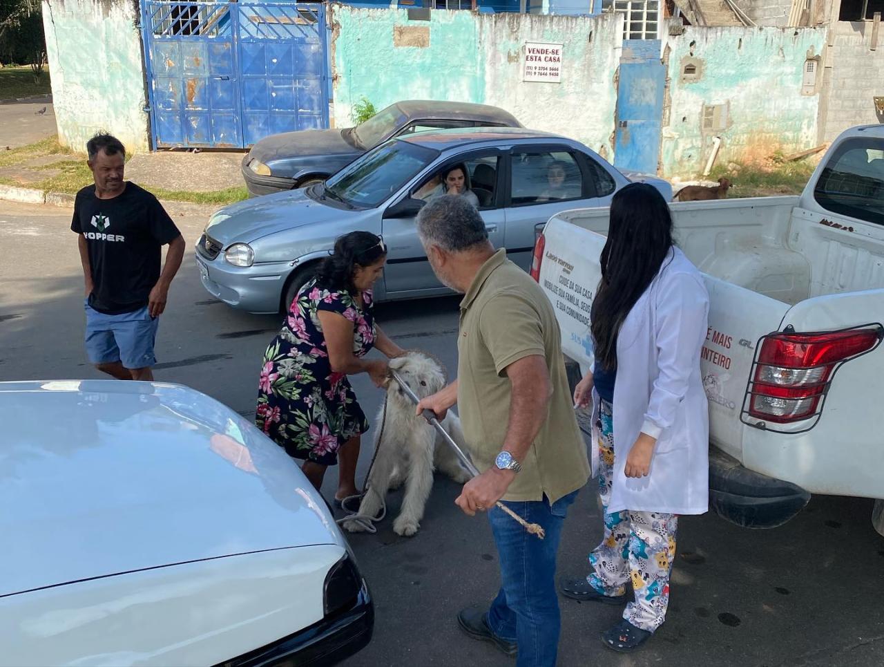 Zoonoses inicia vacinação antirrábica