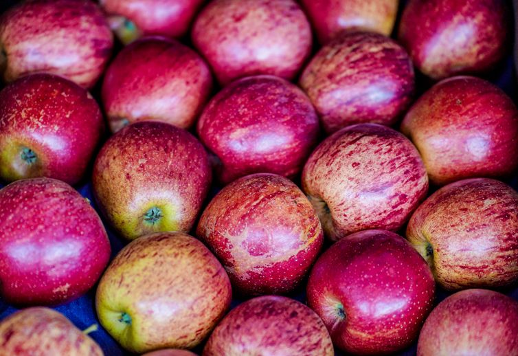 Exportação de frutas cresceu 26% no primeiro trimestre de 2025 