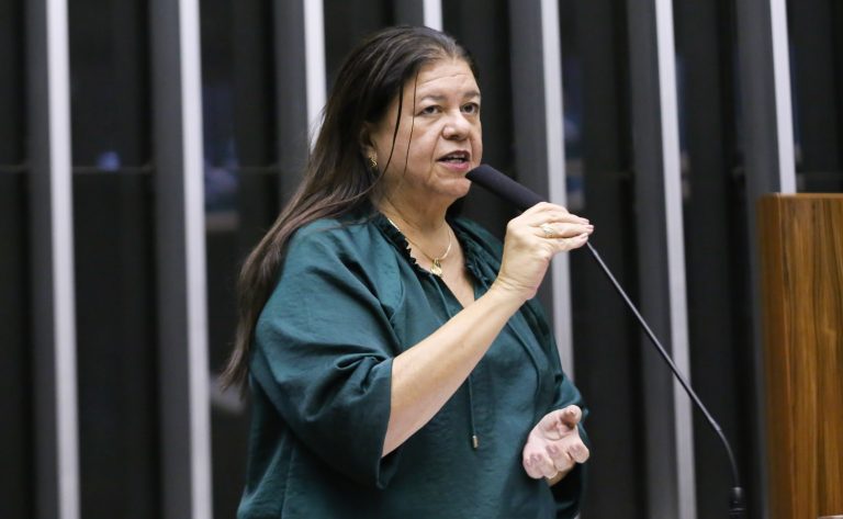 Comissão aprova criação de programas sociais para crianças e gestantes