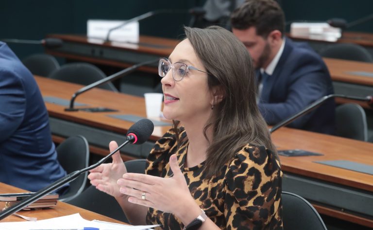 Projeto cria regras sobre custódia compartilhada de animal de estimação