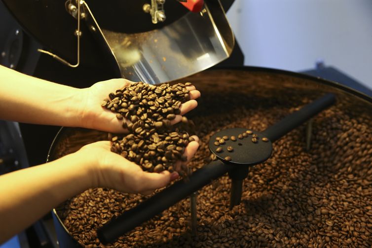Setor cafeeiro pode ser forçado a redirecionar produção, diz Cepea/USP