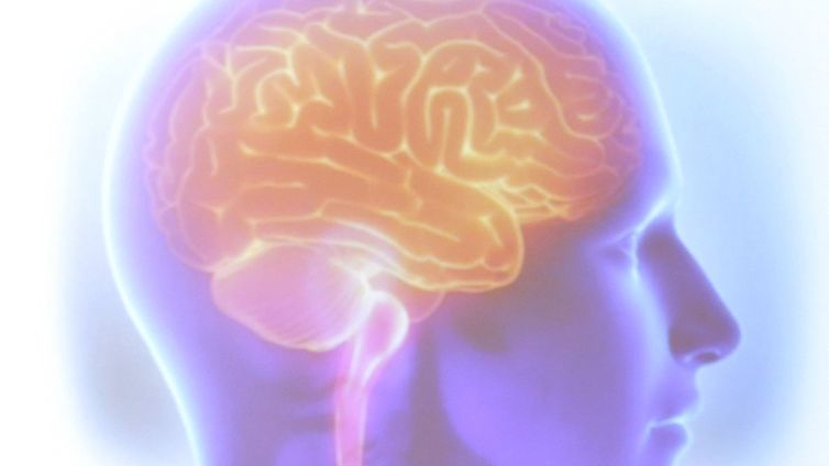 Projeto Ártemis avalia genética de pacientes que sofreram AVC